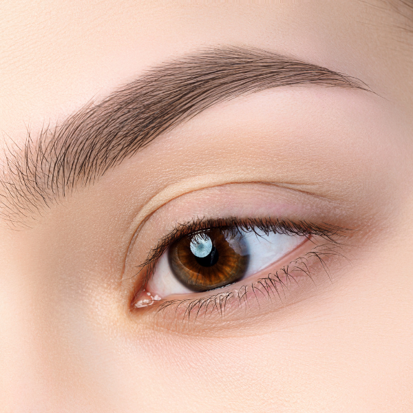 Brow & Lash Tinting - West Lake Houston Parkway, Suite 145 Humble, TX