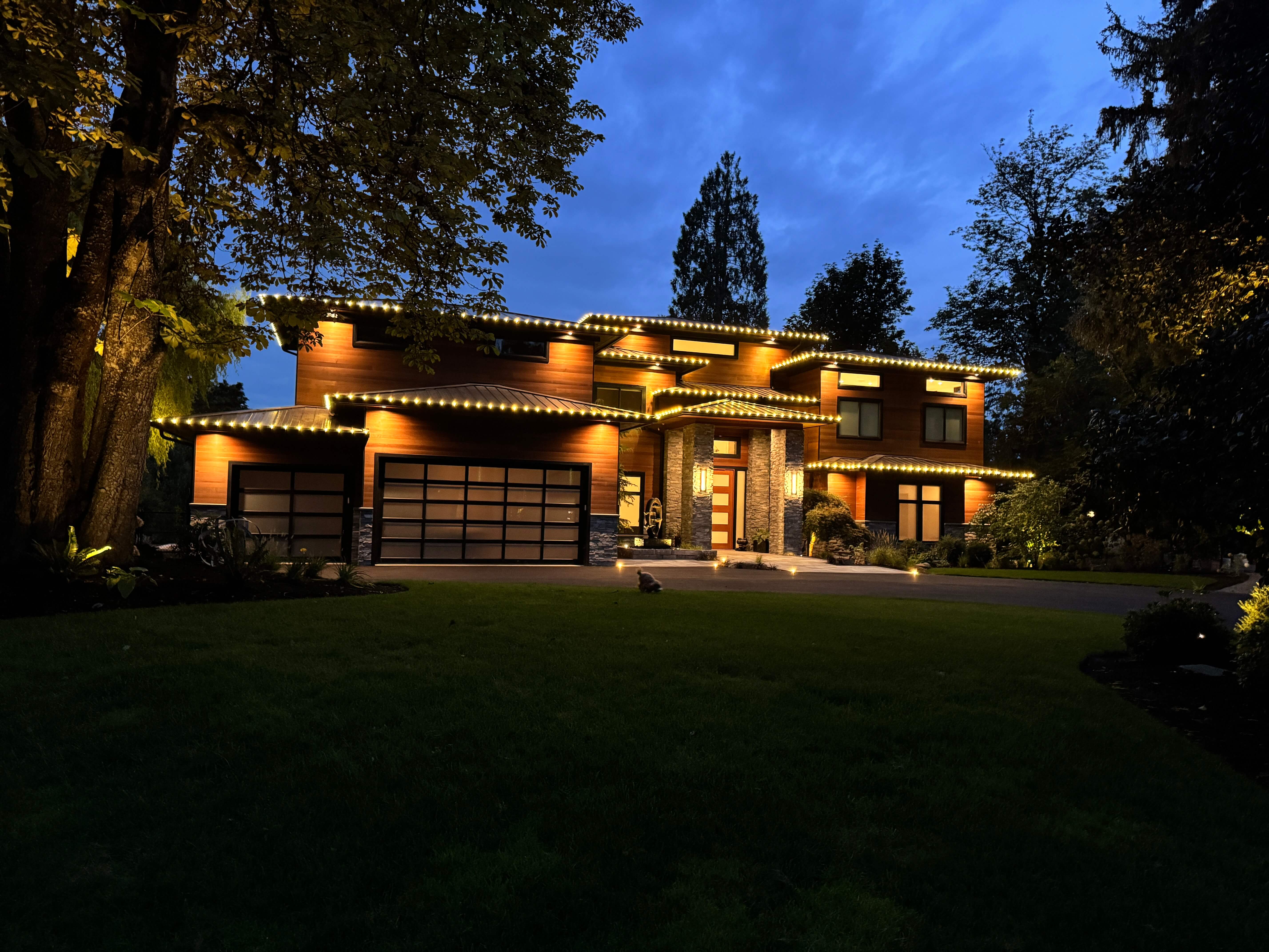 Luxury Christmas Light Installation