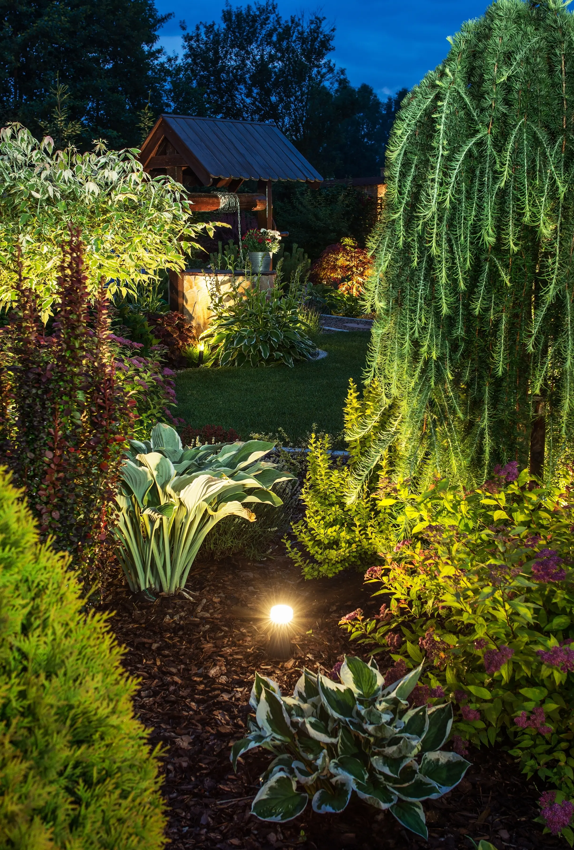 Queen Creek, AZ Landscape Lights