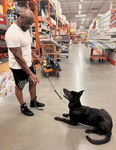 Eric working on obedience with a dog inside a busy store