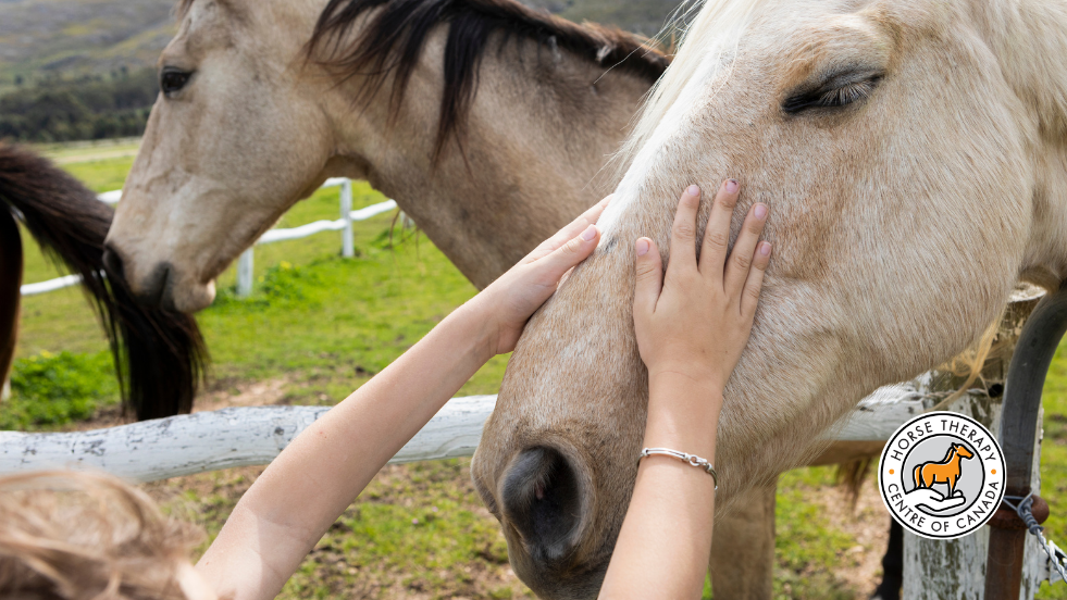 Child gently holding a horse’s face during mental health therapy session