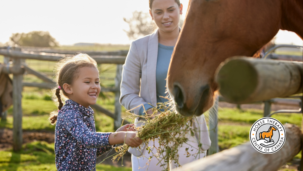 Child feeding a horse in structured aba therapy session