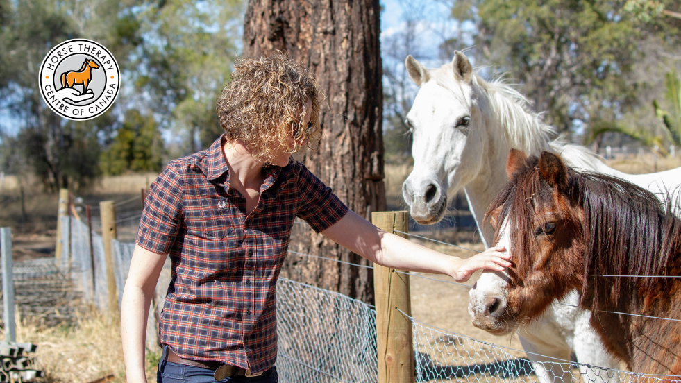 Man caring for horses as part of equine therapy programs activities Man caring for horses as part of equine therapy programs activities