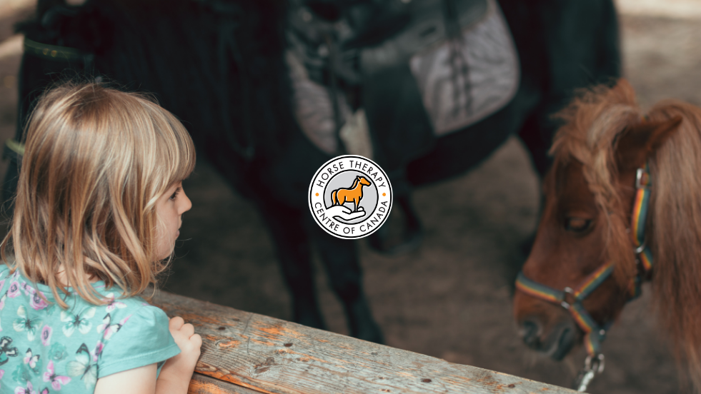 Child watching a horse attentively during aba therapy for kids