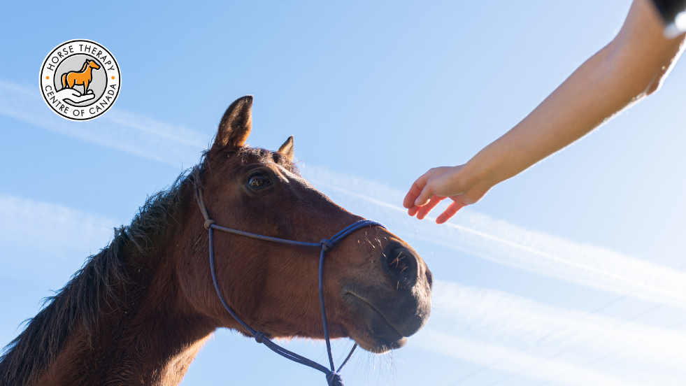 Hand reaching out to a horse in therapy with horses activity