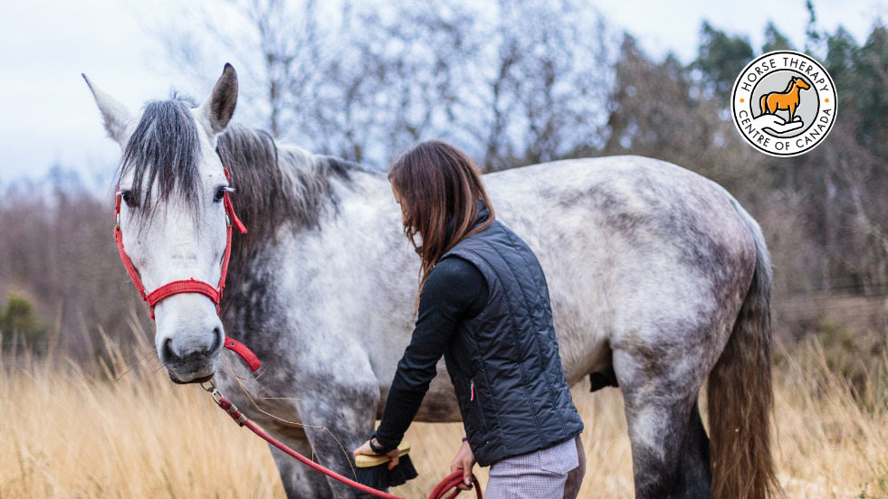 Equine therapist working closely with a horse in a calm outdoor setting
