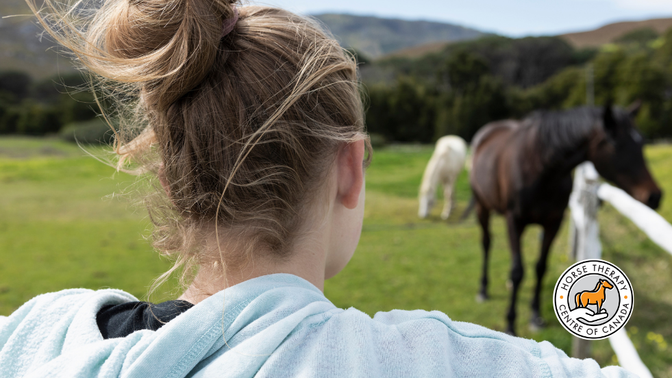 Person observing horses in nature to support mental health conditions Person observing horses in nature to support mental health conditions