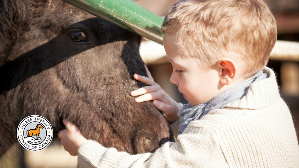 Child brushing a horse as part of aba learning activity