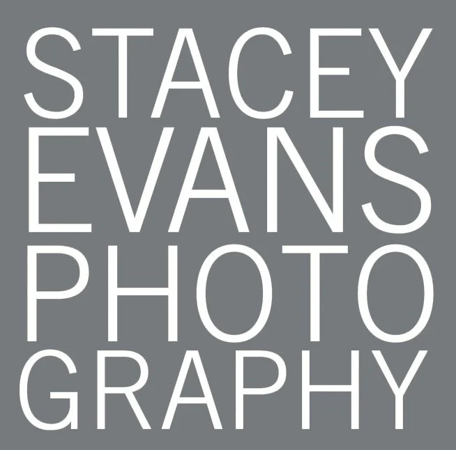 Stacey Evans business logo