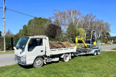 Recent Work tree removal