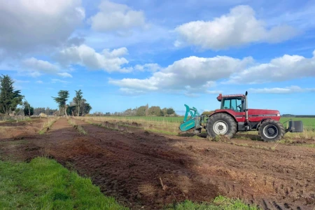 Recent Work land clearing