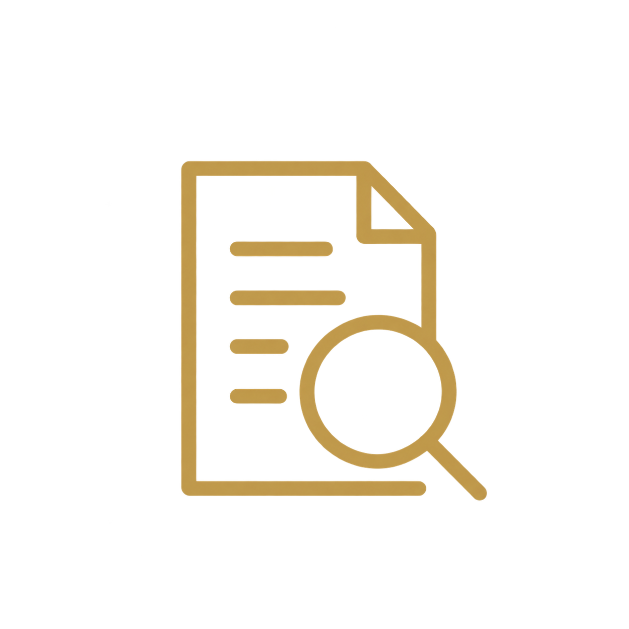 Investigative document icon