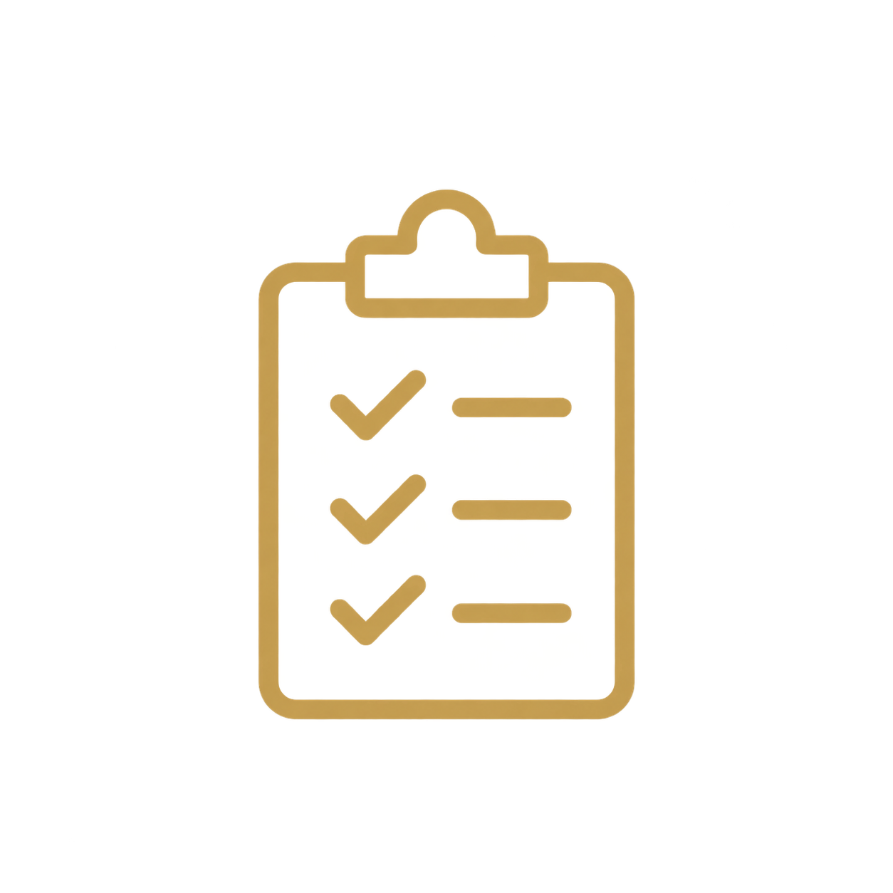 Execution checklist icon