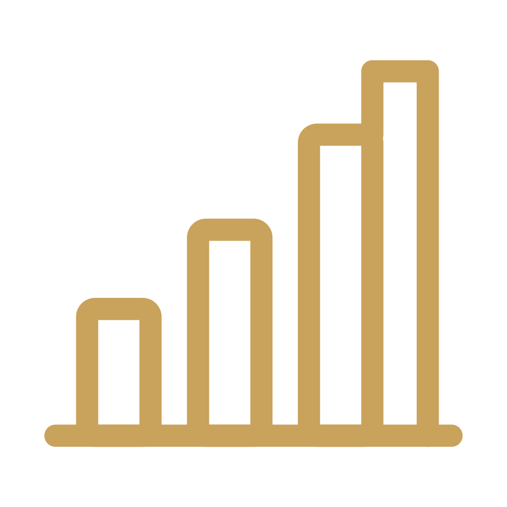 Strong fundamentals chart icon