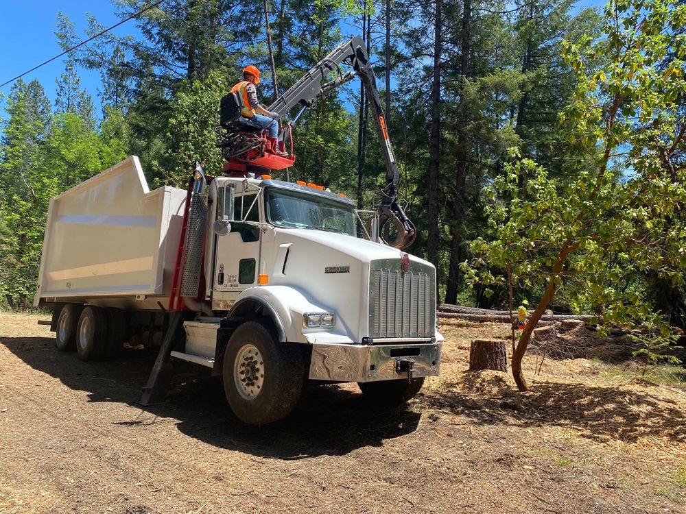 Stump Grinding
