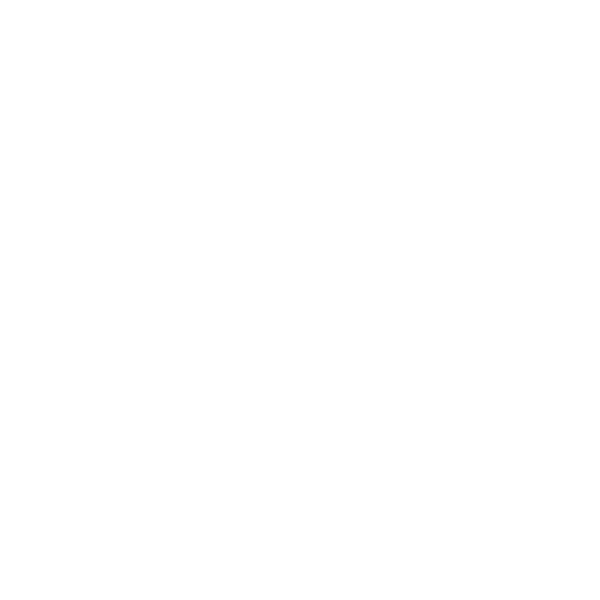 RS Instagram