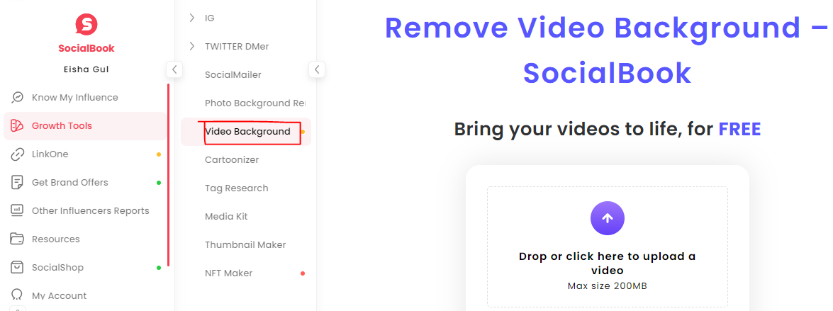 Open the SocialBook Video Background Remover Tool page. 