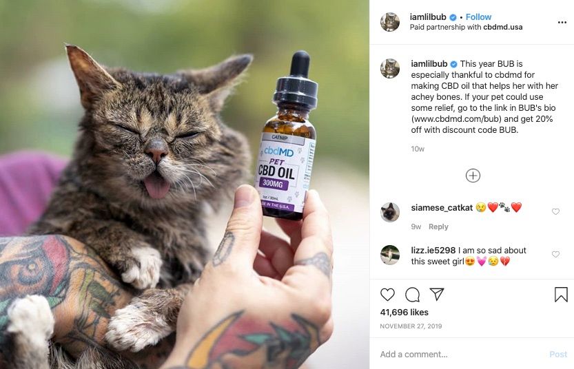 Lil Bub Instagram shares paid sponsorship posts of a pet CBD Oil product.