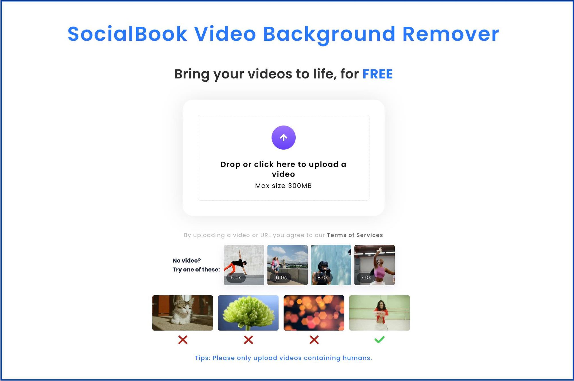 Upload your video to SocialBook Video Background Remover. Upload your video to SocialBook Video Background Remover.