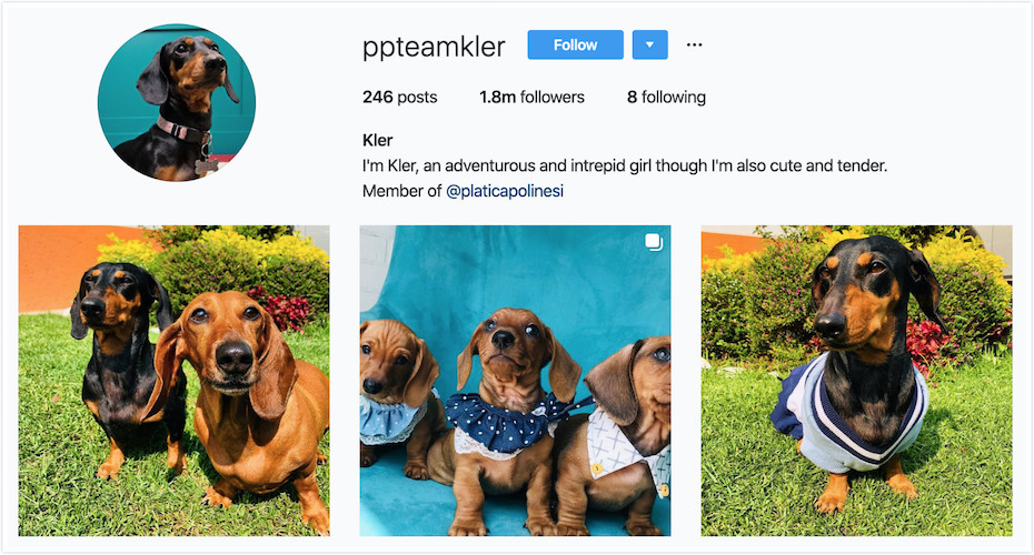 Instagram Profile of Kler