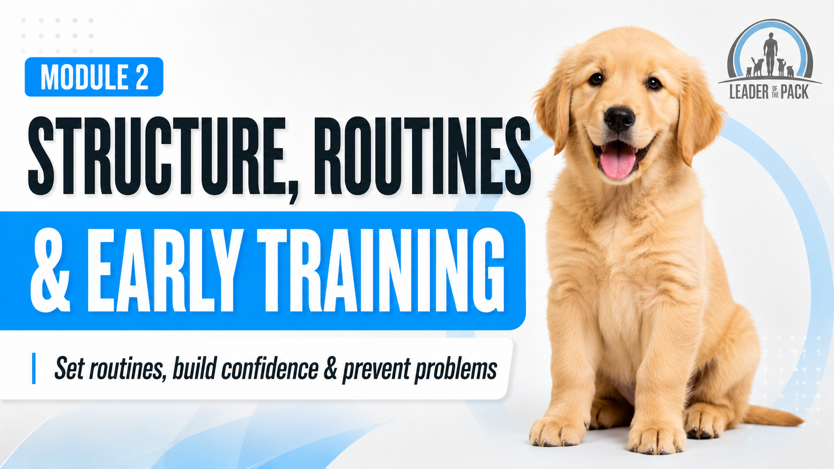 Module 2 course thumbnail