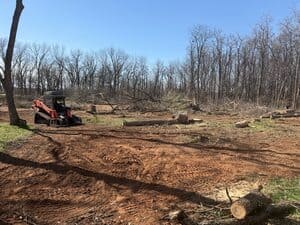 {{ custom_values.service_4 }} in {{custom_values.area_4})