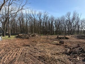 {{ custom_values.service_1 }} in {{custom_values.area_2})