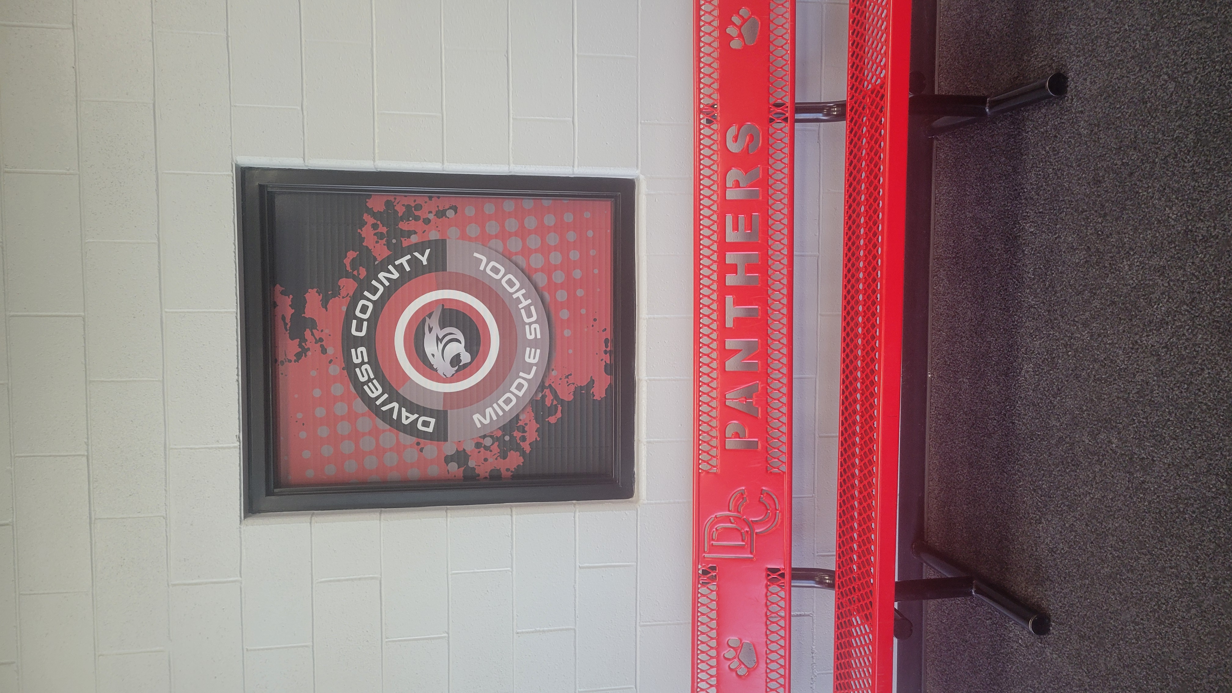 Window & Wall Graphics — Signs by Gina