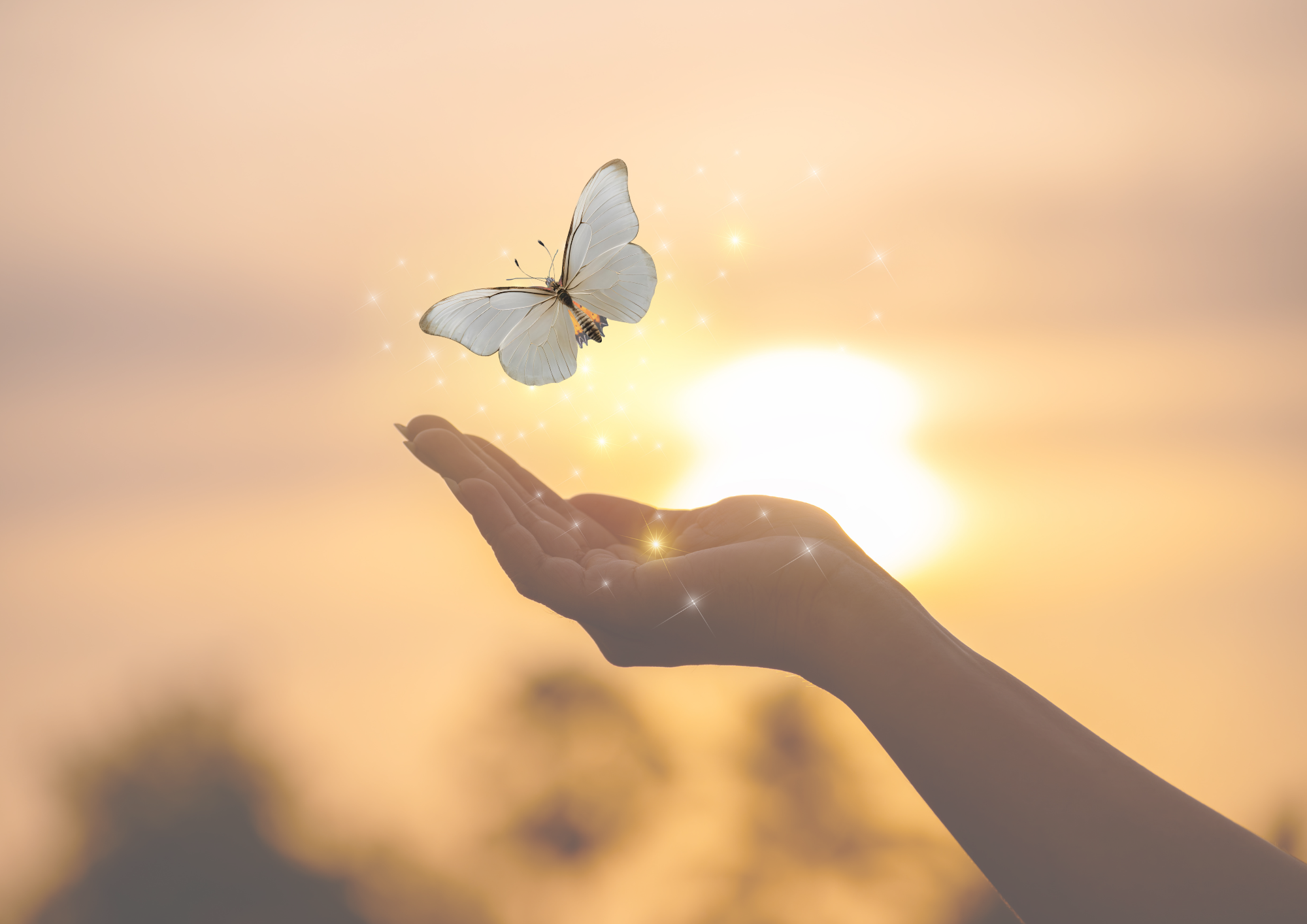 Burnout transformation 