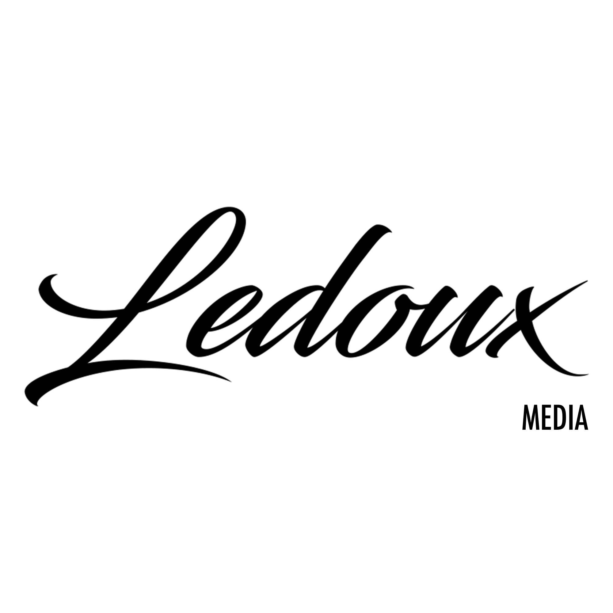 Logo Ledoux Media wit