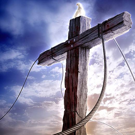 Discipleship