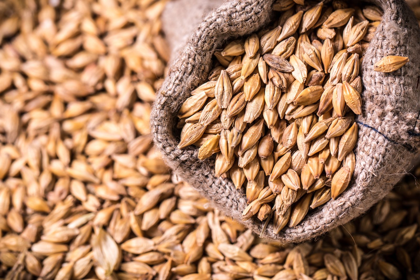 From raw barley to cask — understanding the system behind the spirit From raw barley to cask — understanding the system behind the spirit