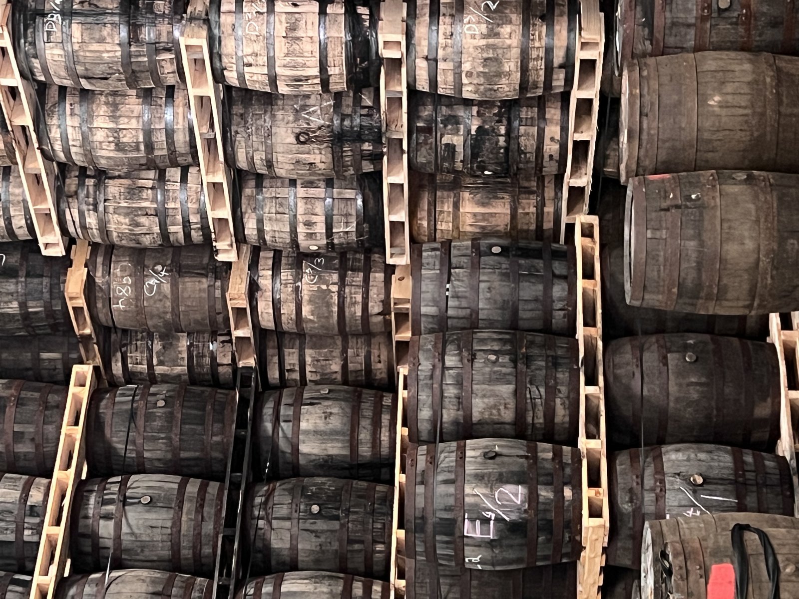 Hand-marked casks racked in the dunnage — each one a unique, unrepeatable object