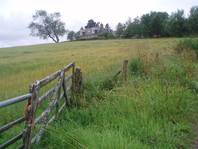 A barley field at Garlinemore, near Knockando, Speyside. Scotch whisky consumes roughly one third of Scotland's annual barley harvest.
