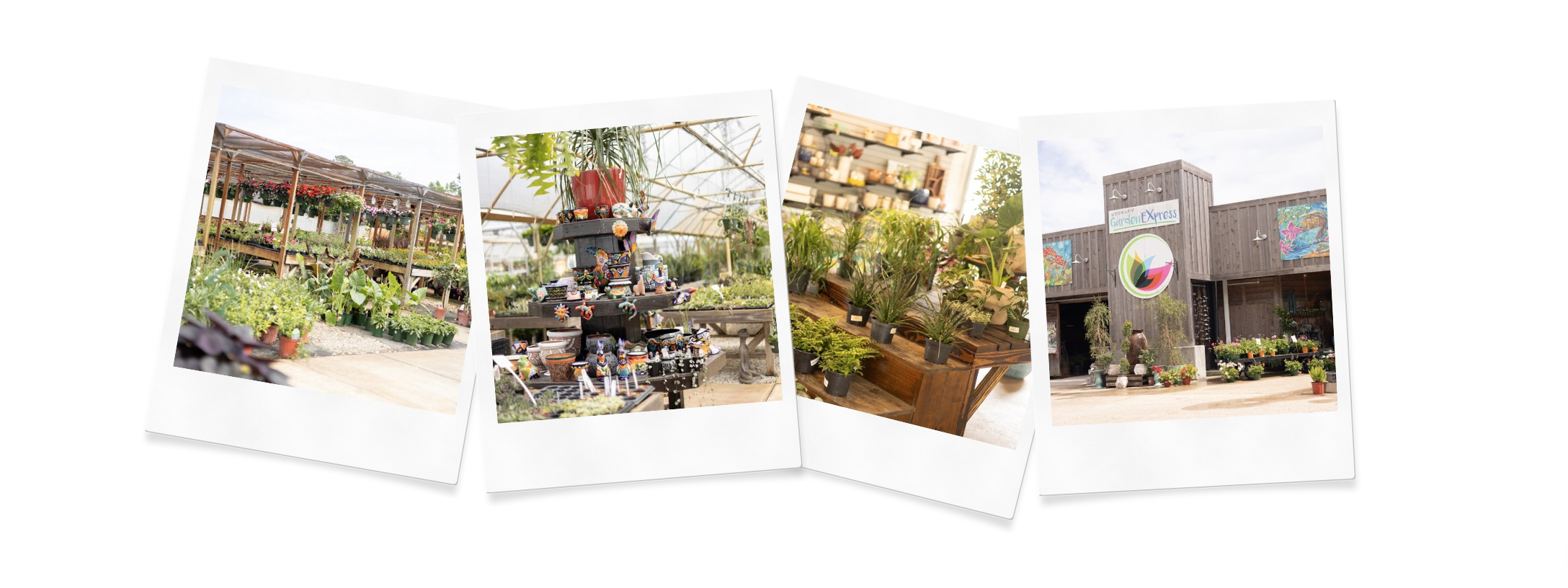 Stokley Garden Express in mobile al featured in Henderson Photography's mother's day gift guide