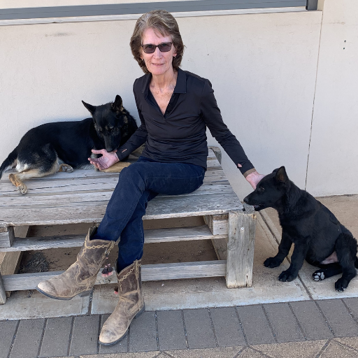 Why Basic Obedience Training is Essential for Every Dog (Adelaide Dog Trainer Guide)