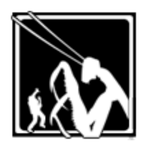 Petersen Games logo