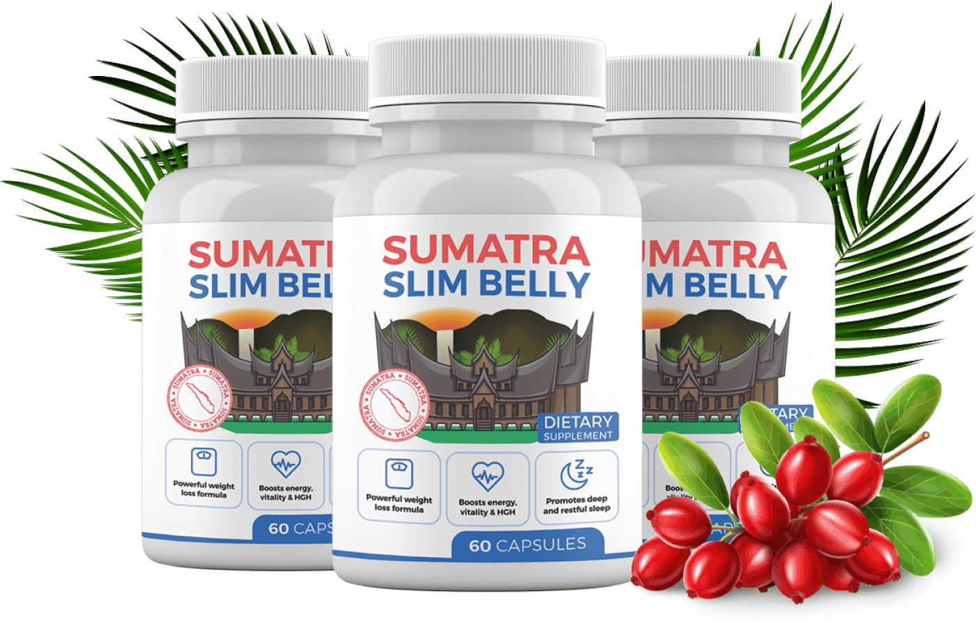 Sumatra Slim Belly Tonic® | Official Website | Supports Fat Loss