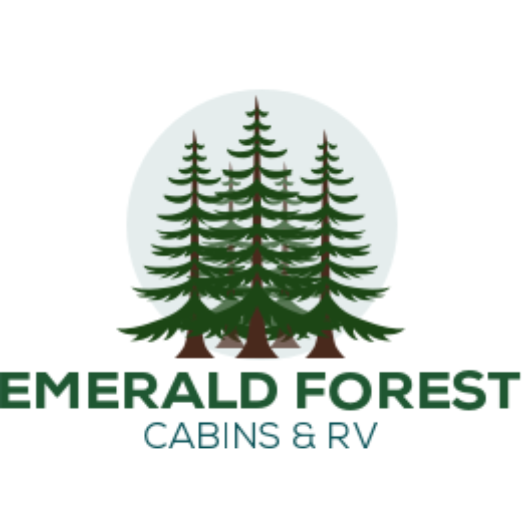 Emerald Forest Cabins & RV — photo 4