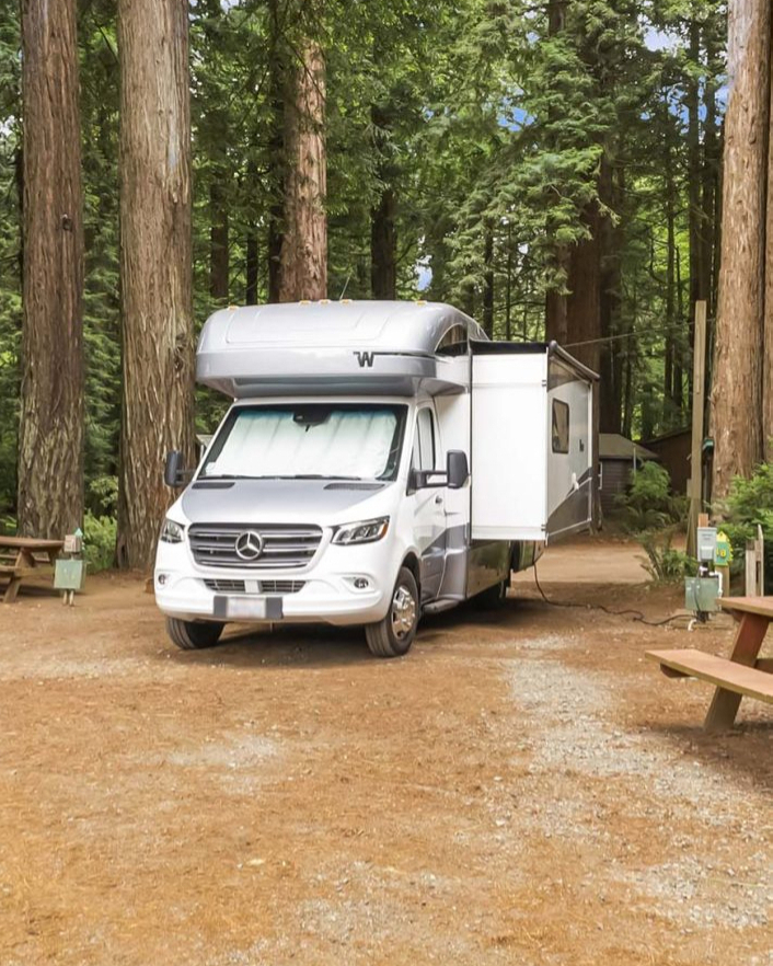 Emerald Forest Cabins & RV — photo 2