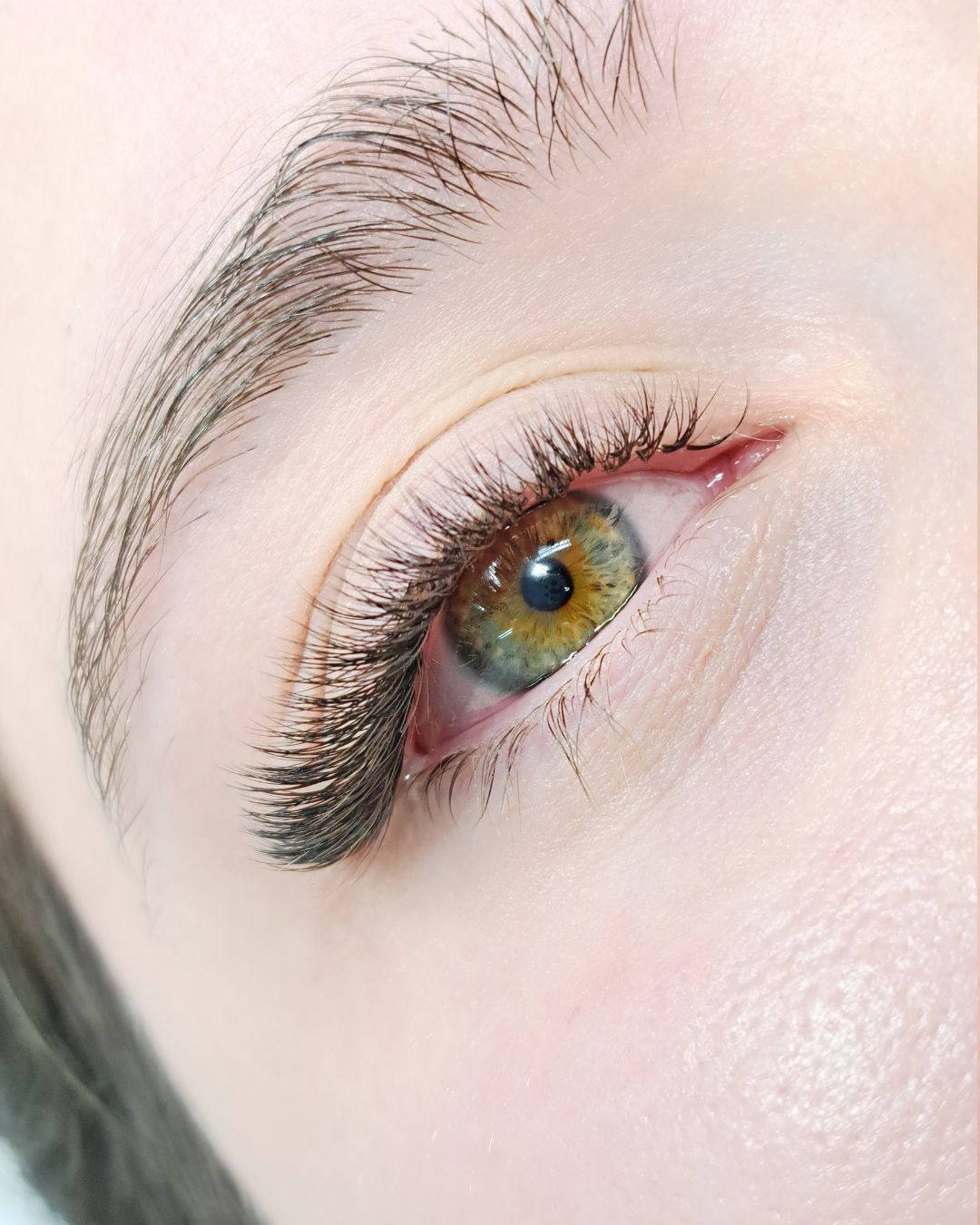 Lash lift with tint at Darri & Sage