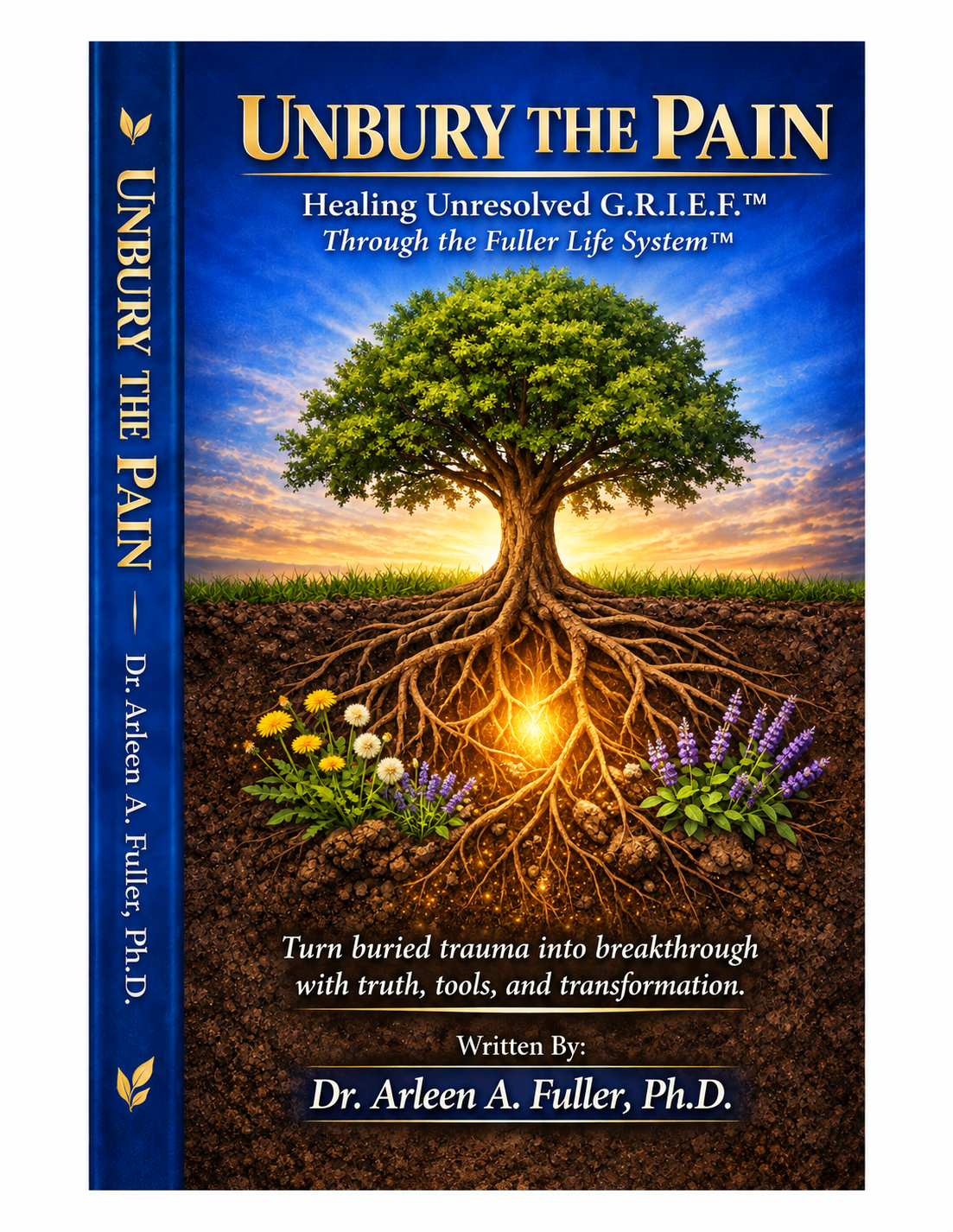 Unbury the Pain book cover
