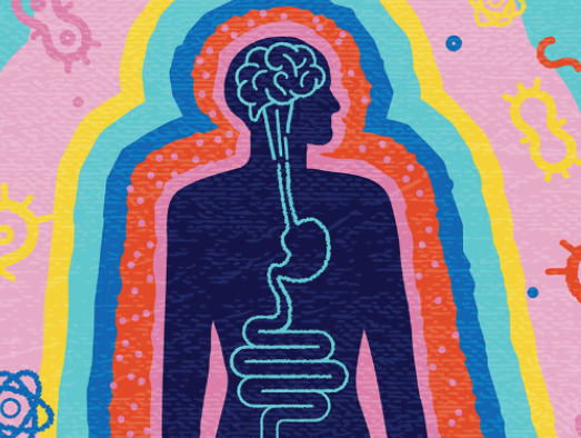 Illustration of the brain-gut connection involved in the body's natural GLP-1 pathway