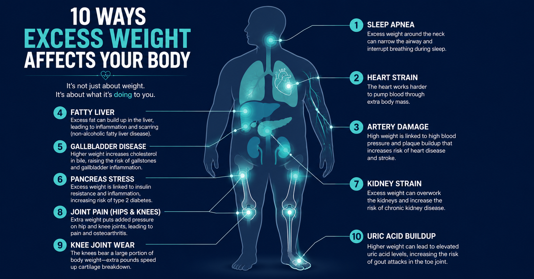 Illustrated body diagram showing 10 organ systems affected by excess weight, educational infographic for weight loss program