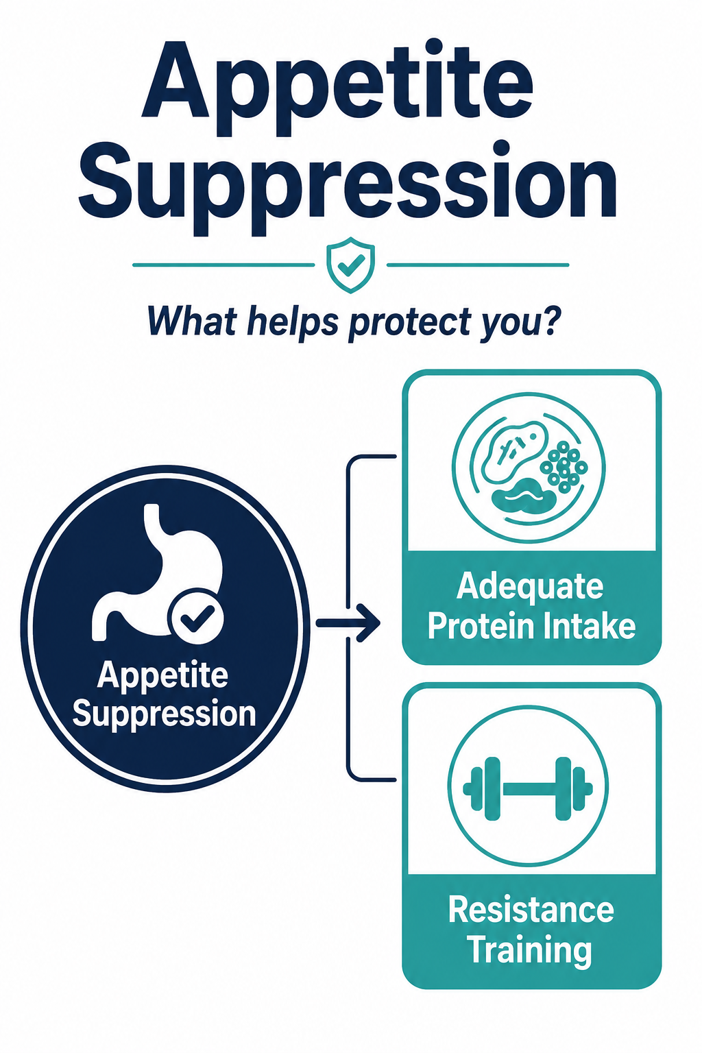 infographic GLP-1 medication versus muscle loss protein resistance training