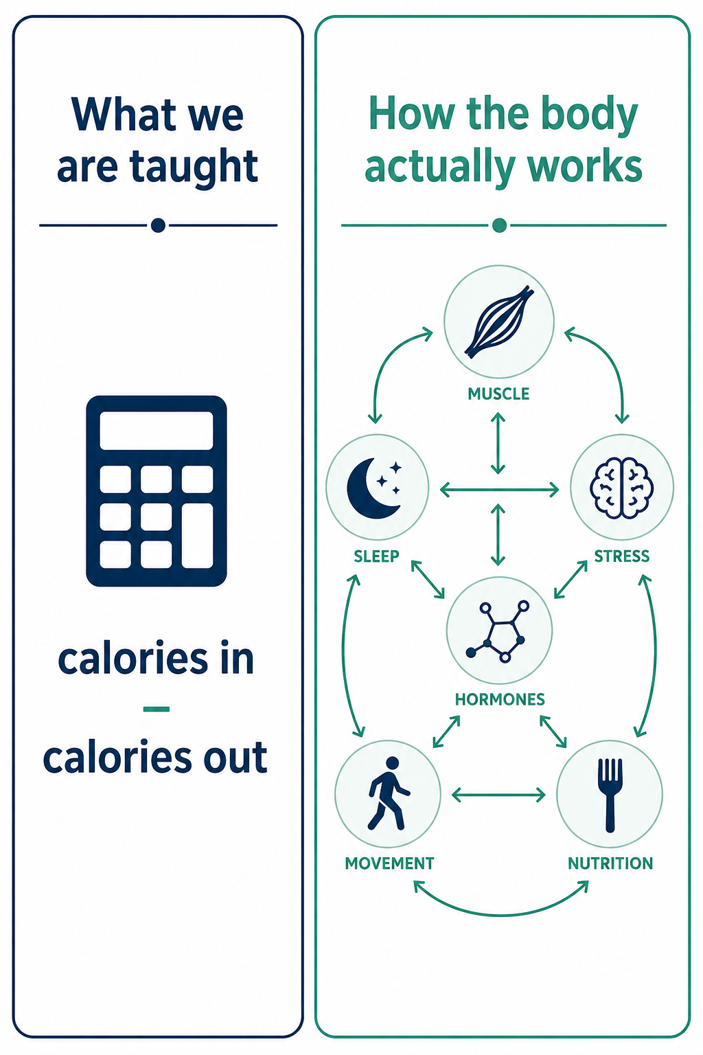 Infographic comparing weight loss as simple math versus the body as a living system with hormones sleep stress and muscle Infographic comparing weight loss as simple math versus the body as a living system with hormones sleep stress and muscle