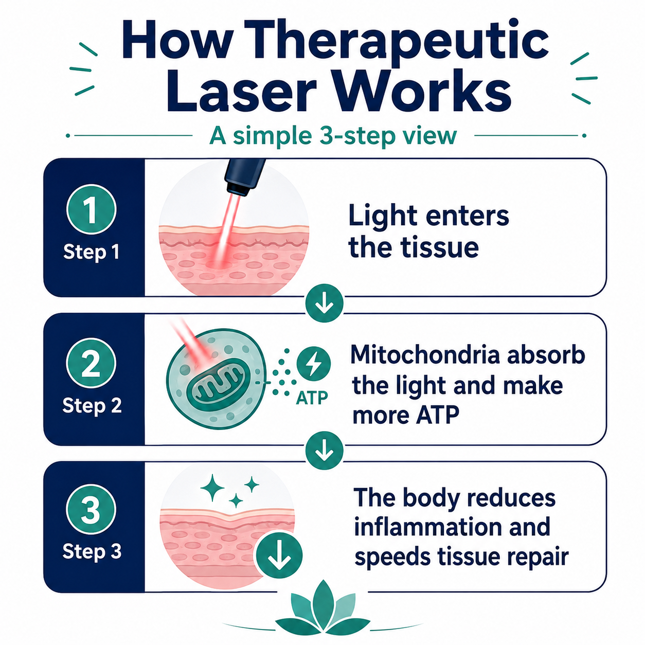 Infographic showing how Class 4 laser light energizes mitochondria to reduce pain and inflammation
