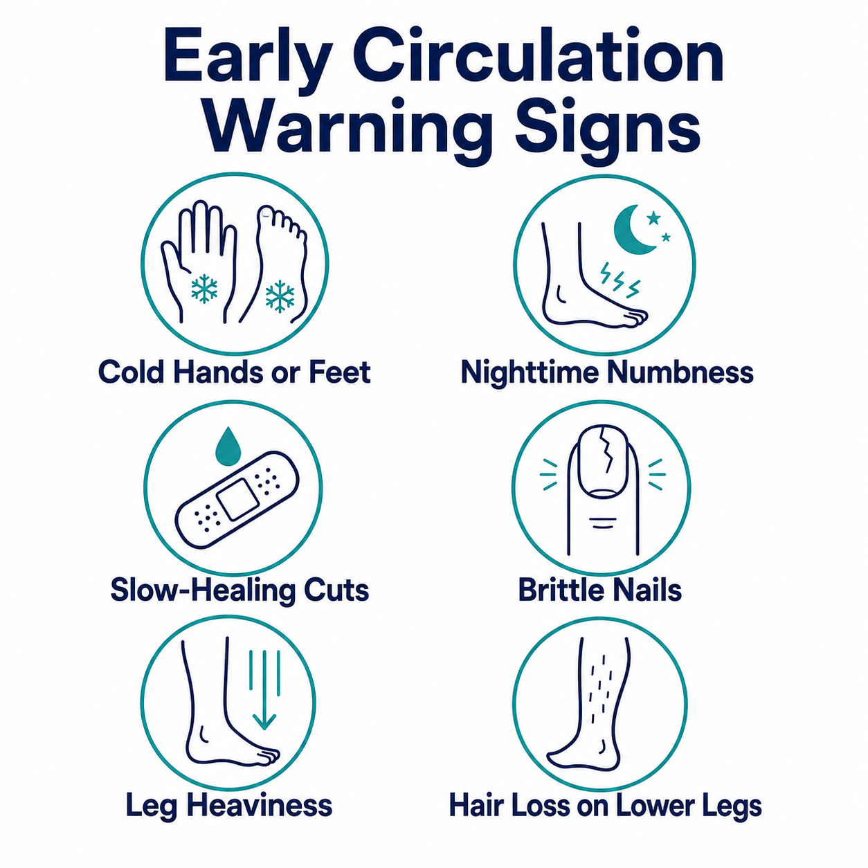 early warning signs of poor circulation infographic