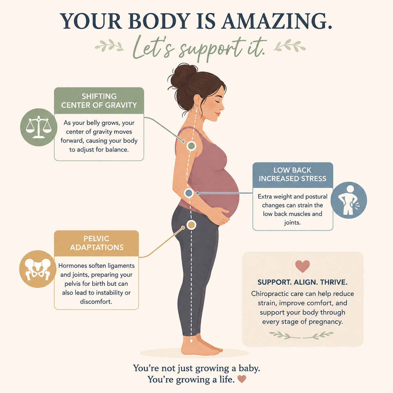 "causes of pregnancy back and pelvic pain diagram" 