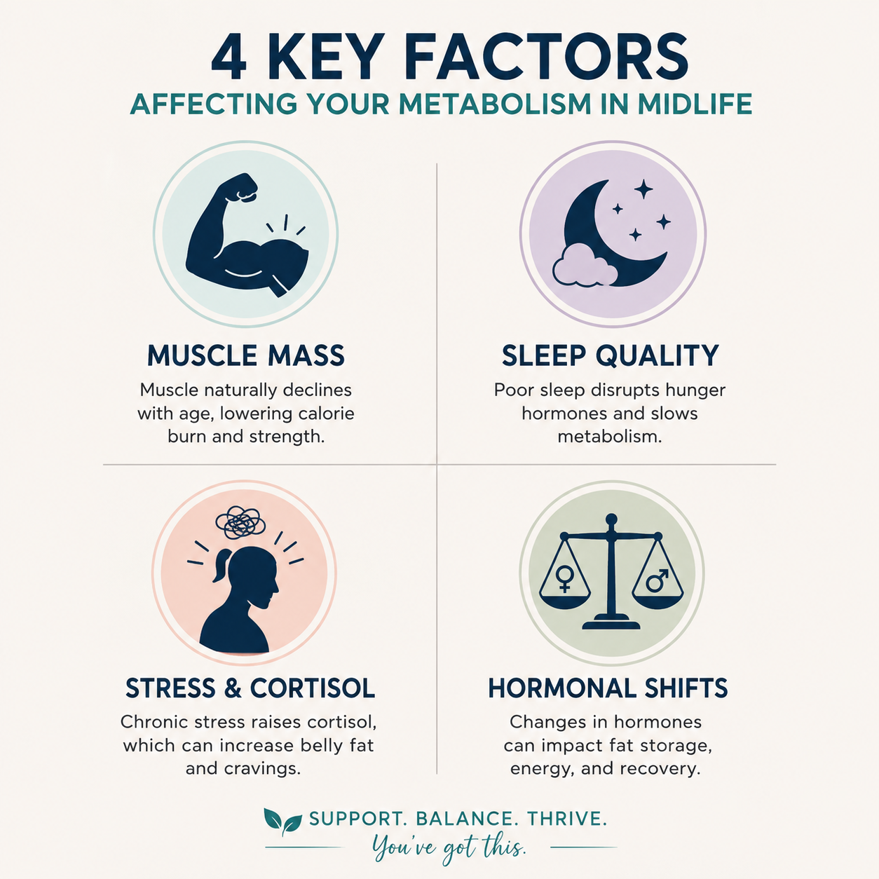 diagram of the four main drivers of age related metabolic change: muscle, sleep, stress, hormones